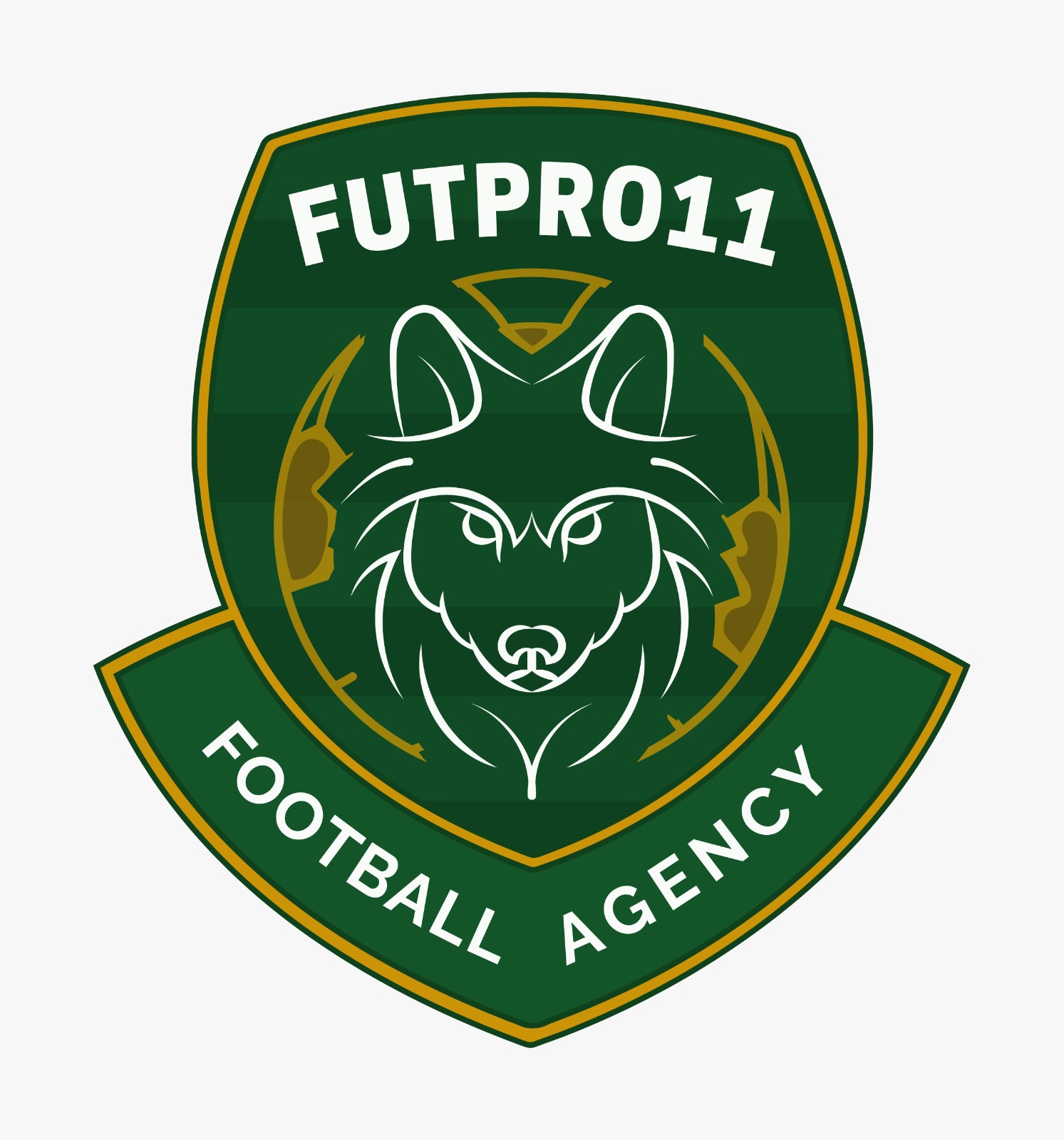 FutPro11 Football Agency logo